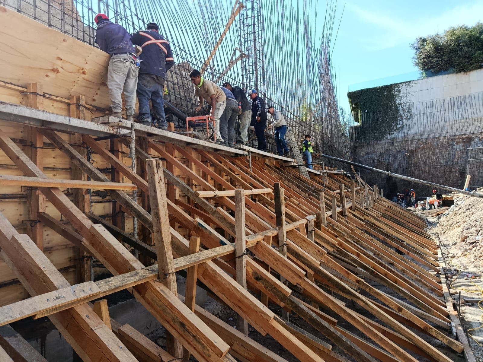 Desarrollo de Proyecto